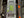 NEVO EDITION ActivEV Pulse 6P 2026 - Orange